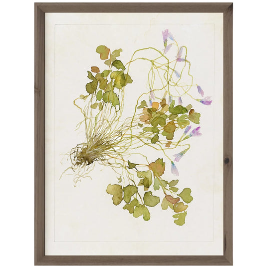 001 SI-2542152,SI-2542157,SI-2542158 | Primary Silo | Oxalis Debilis No. 2 by Laurel-Dawn Latshaw by Four Hands. Made from textured fine art paper in a unique style.
