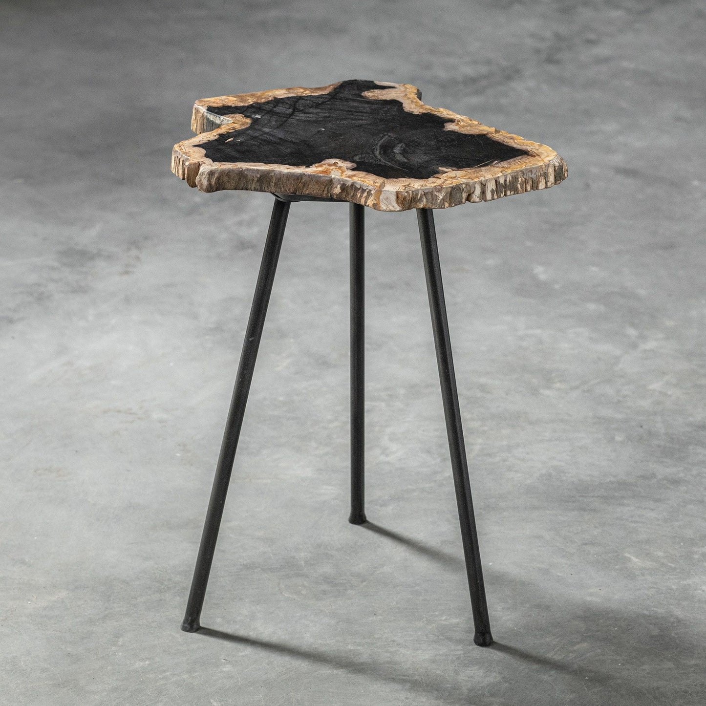 002 SR-801659 | Additional Silo | Mircea Petrified Wood Accent Table by Uttermost in wood. Made from 77% petrified wood, 20% plywood, 3% metal in a modern style.