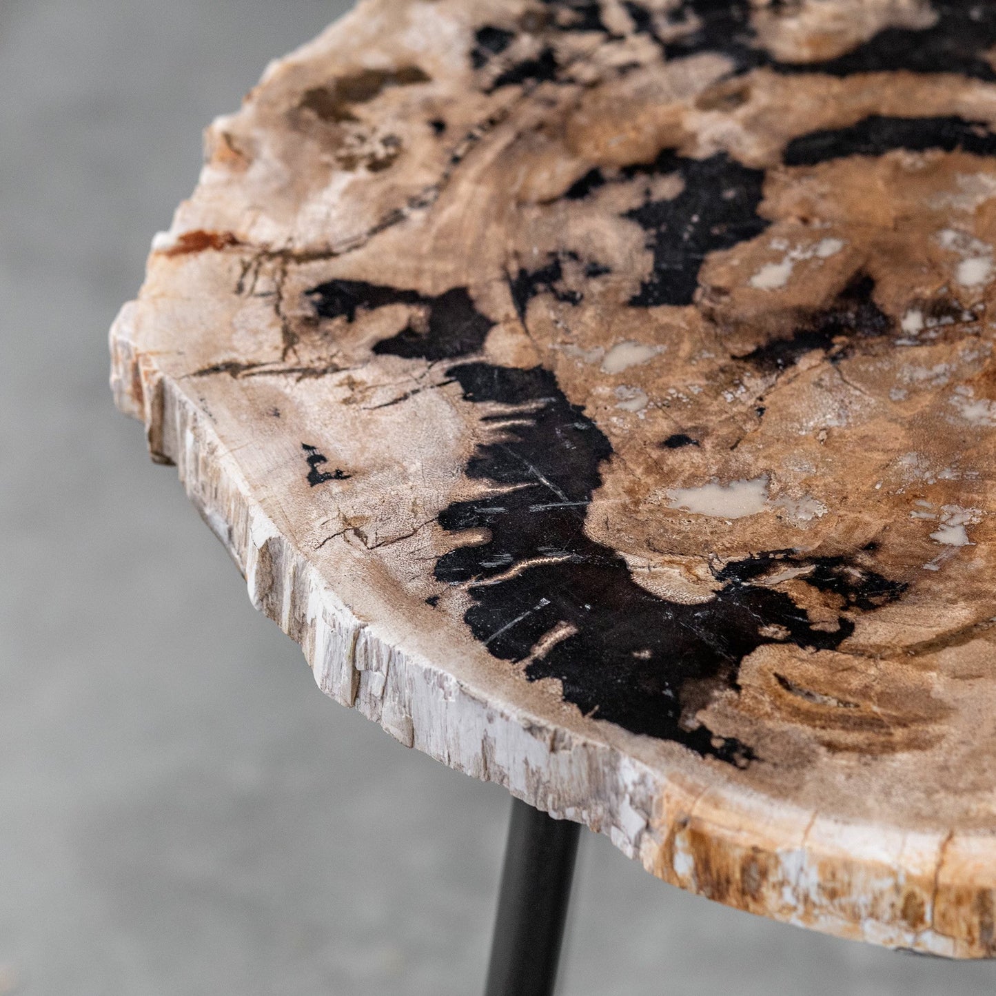 003 SR-801659 | Additional Silo | Mircea Petrified Wood Accent Table by Uttermost in wood. Made from 77% petrified wood, 20% plywood, 3% metal in a modern style.