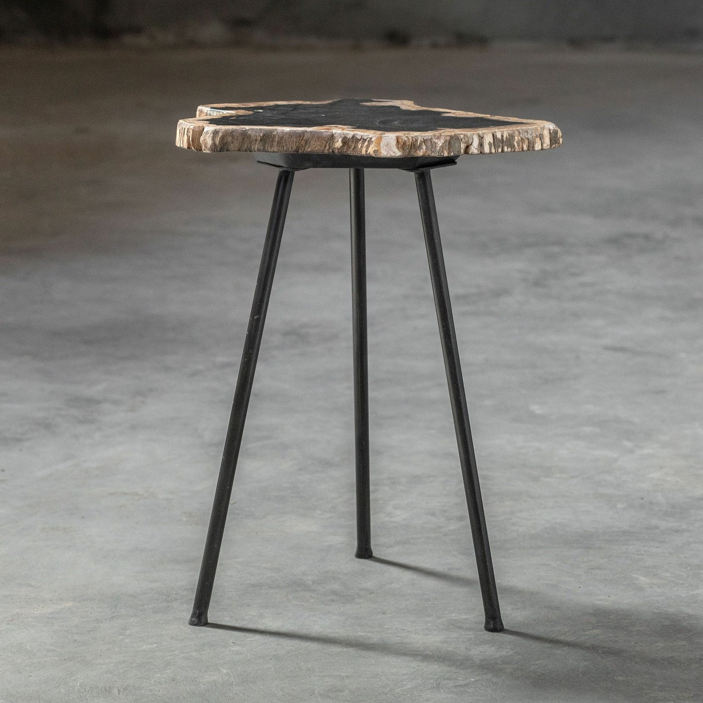004 SR-801659 | Additional Silo | Mircea Petrified Wood Accent Table by Uttermost in wood. Made from 77% petrified wood, 20% plywood, 3% metal in a modern style.