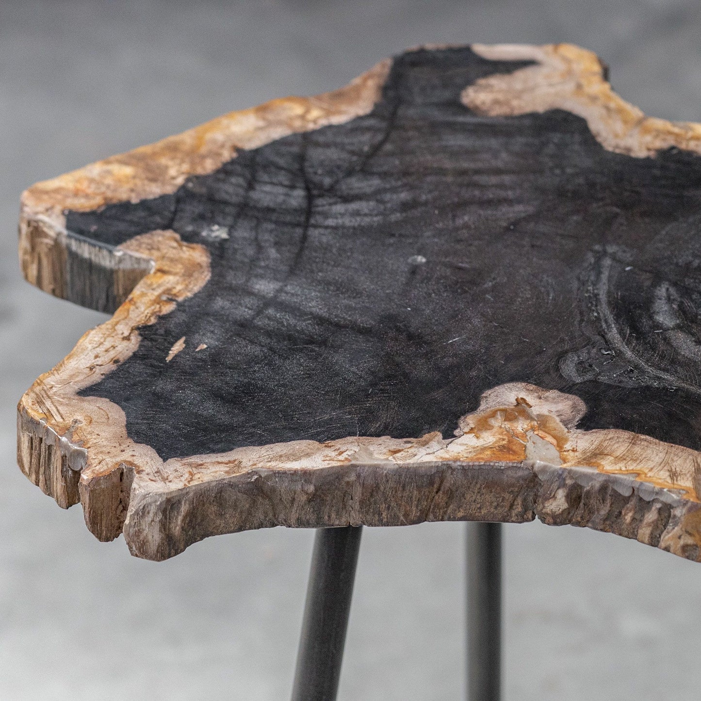005 SR-801659 | Additional Silo | Mircea Petrified Wood Accent Table by Uttermost in wood. Made from 77% petrified wood, 20% plywood, 3% metal in a modern style.