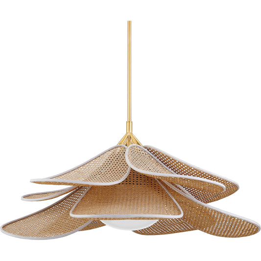 Florina 1 Light Pendant by Hudson Valley in aged brass. Made from steel in a cottage & farmhouse style.