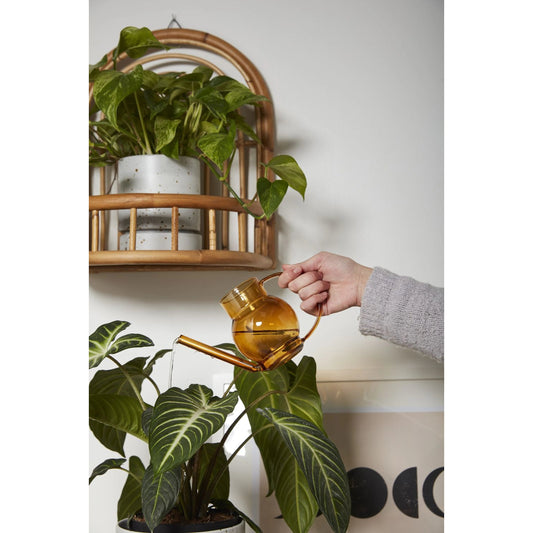 Pequeno Watering Can by Accent Decor. Made from glass in a modern style.