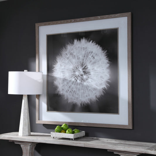 Dandelion Seedhead Framed Print by Uttermost in multi. Made from pinewood, veneer, glass, mdf in a modern style.