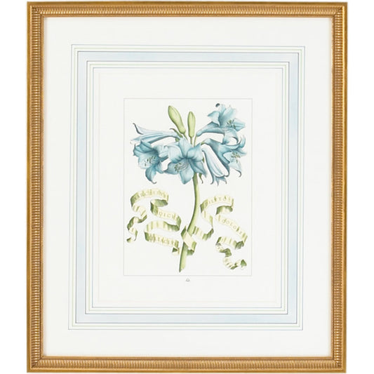 001 SR-382034 | Primary Silo | Bl Floral W/Ribbon-C by Chelsea House in gold frame, french mat. Made from hand colored engraving, italy in a traditional style.