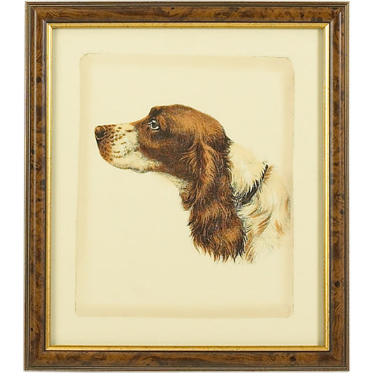 001 SR-382454 | Primary Silo | Danchin Cocker Spaniel by Chelsea House in brown and gold frame. Made from hand colored print in a cottage & farmhouse style.