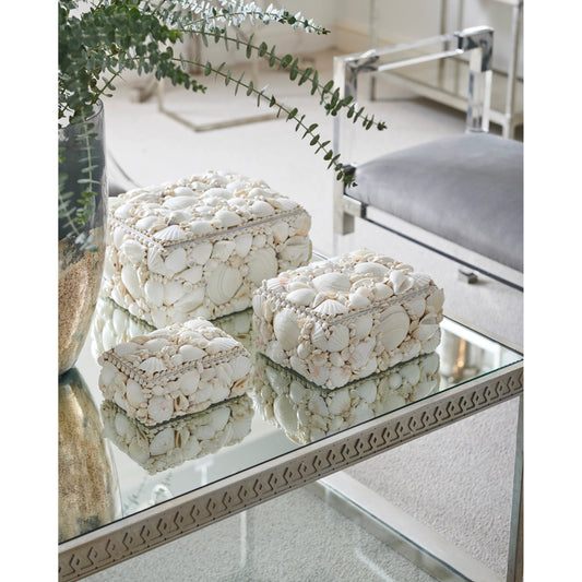 Shell Boxes by Chelsea House. Made from unique in a coastal style.