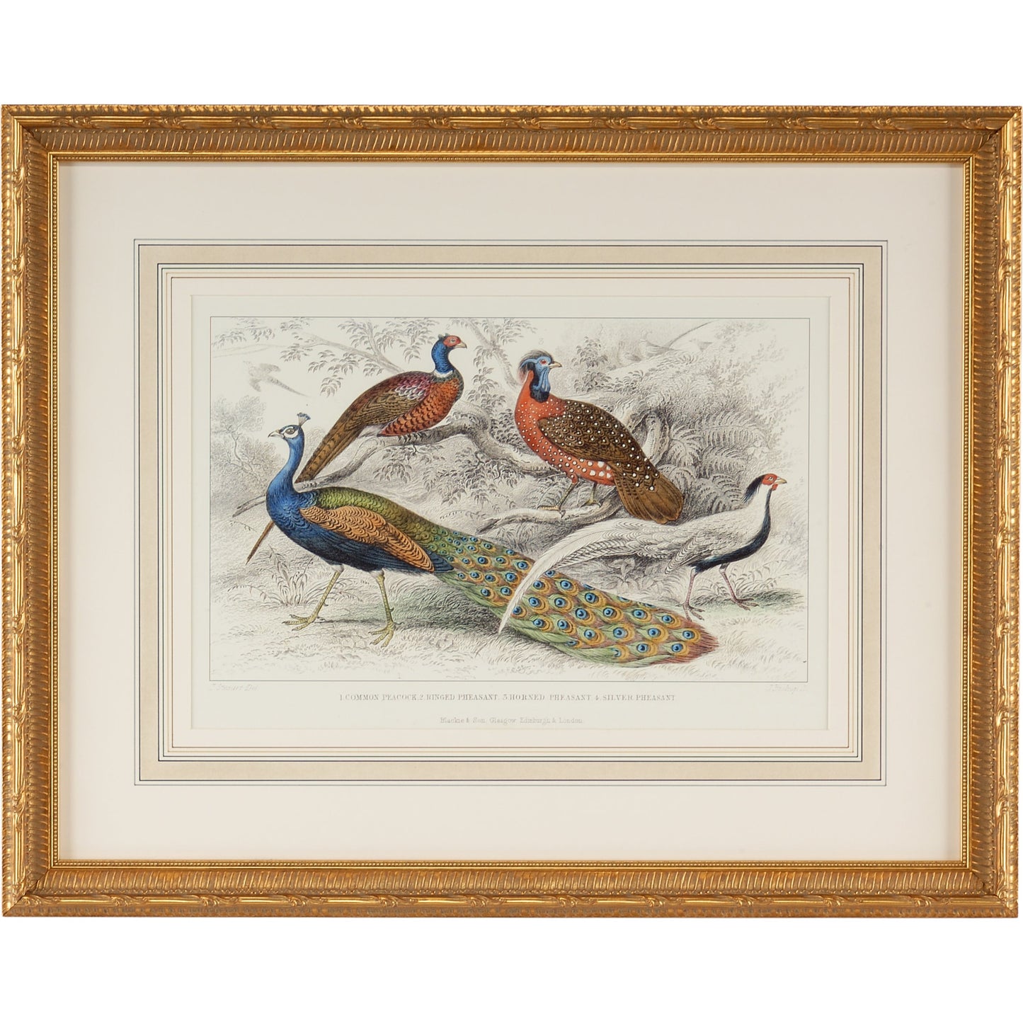001 SR-383553 | Primary Silo | Peacock & Pheasants by Chelsea House in gold leaf. Made from print on wood frame in a rustic style.