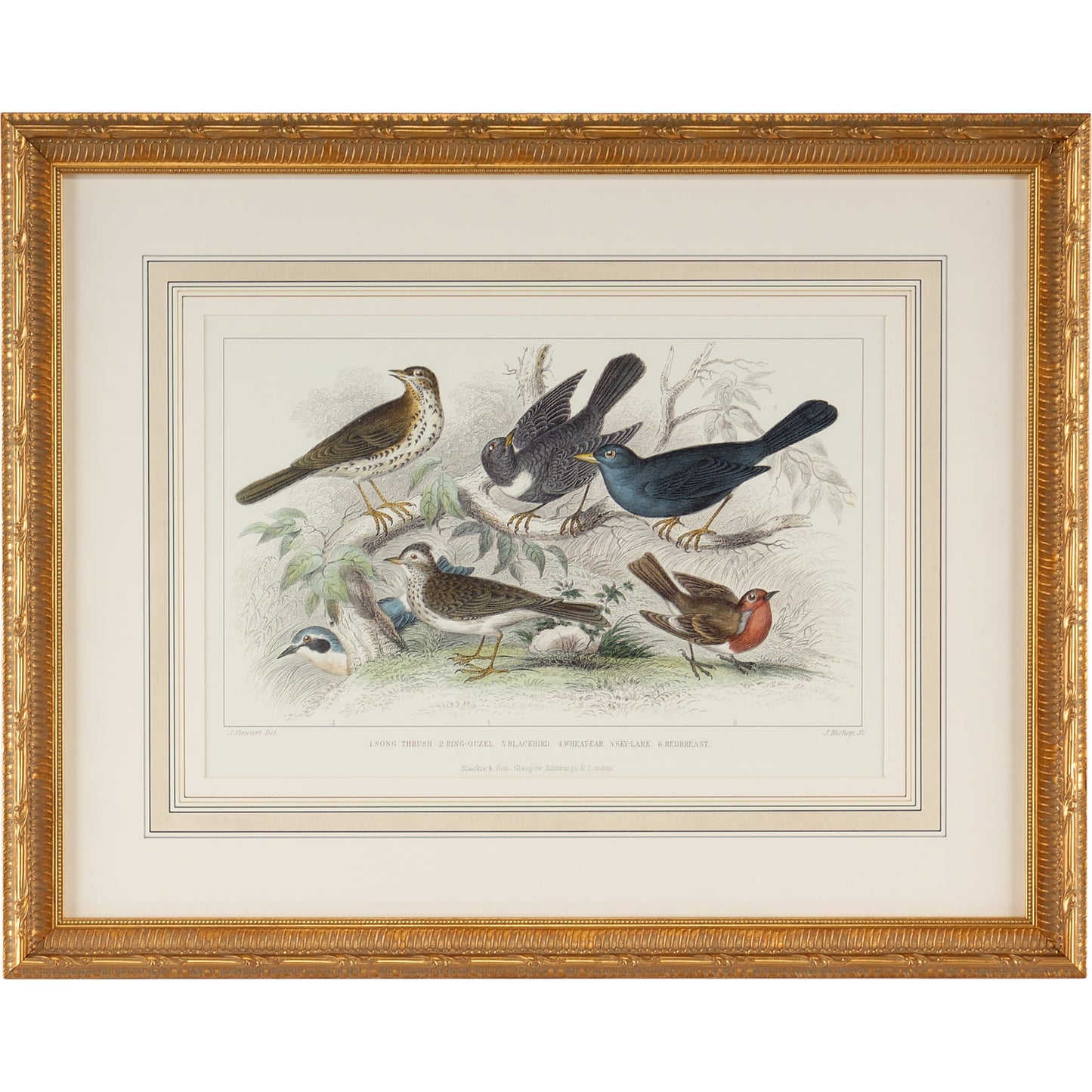 001 SR-383910 | Primary Silo | Skylark Song Thrush &R/Breast by Chelsea House in gold. Made from print on wood frame in a cottage & farmhouse style.