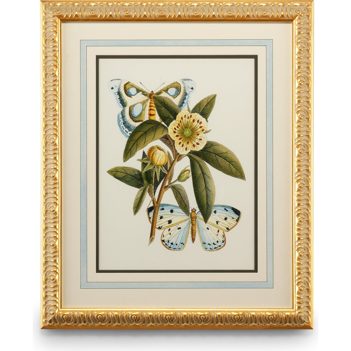 001 SR-382177 | Additional Silo | Butterfly Oasis I by Chelsea House in gold leafed frame, french mat. Made from plate lithograph in a traditional style.
