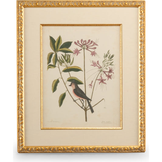 001 SR-382229 | Additional Silo | Catesby Bird & Botanical I by Chelsea House in gold leaf frame, linen mat, fillet. Made from unique in a traditional style.