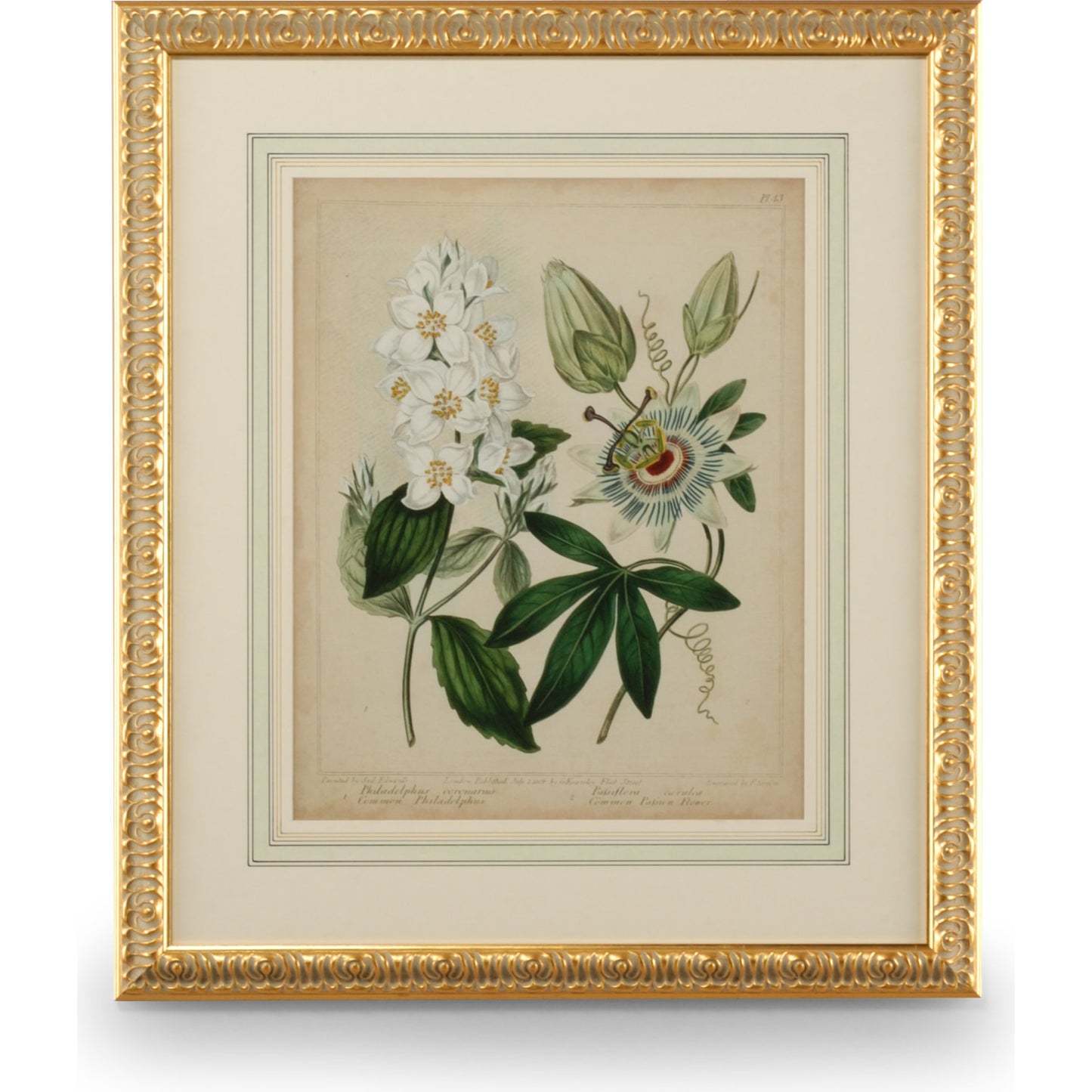 001 SR-382396 | Primary Silo | Cottage Florals II by Chelsea House in gold leaf wood frame, french mat. Made from unique in a traditional style.