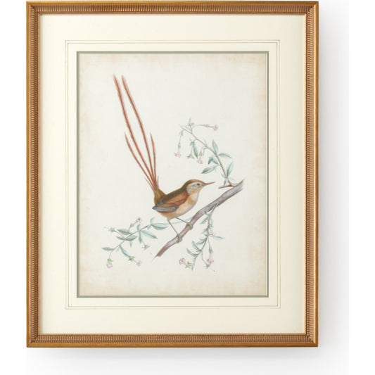 001 SR-382482 | Primary Silo | Delicate Birds I by Chelsea House in gold frame-double mat w, french lines. Made from unique in a cottage & farmhouse style.