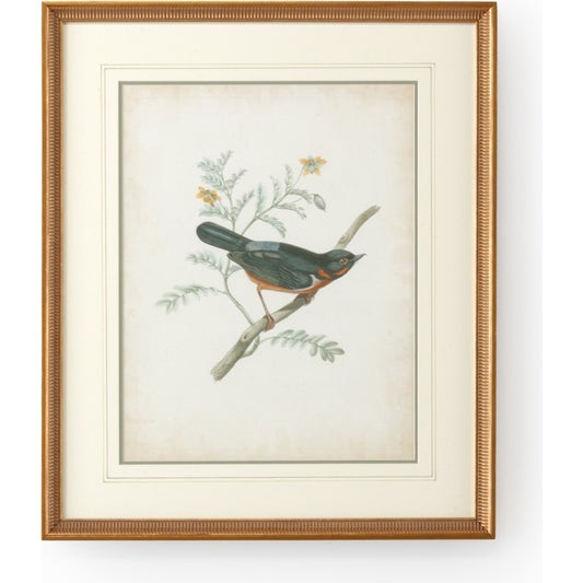 Delicate Birds III by Chelsea House in gold frame-double mat w, french lines. Made from unique in a cottage & farmhouse style.