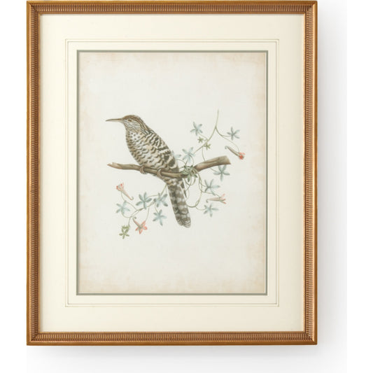 Delicate Birds IV by Chelsea House in gold frame-double mat w, french lines. Made from unique in a cottage & farmhouse style.