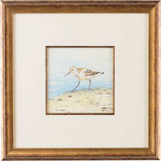 001 SR-383819 | Primary Silo | Sand Piper V by Chelsea House in white mat, antique gold fillet. Made from watercolor - antique. gold frame in a coastal style.