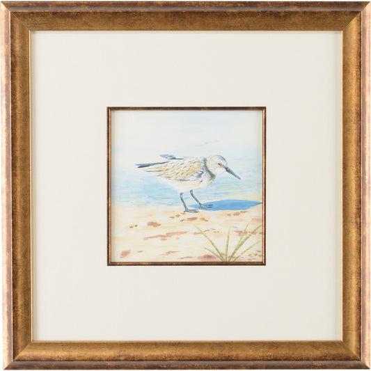 001 SR-383820 | Primary Silo | Sand Piper VI by Chelsea House in white mat, antique gold fillet. Made from watercolor - antique. gold frame in a coastal style.