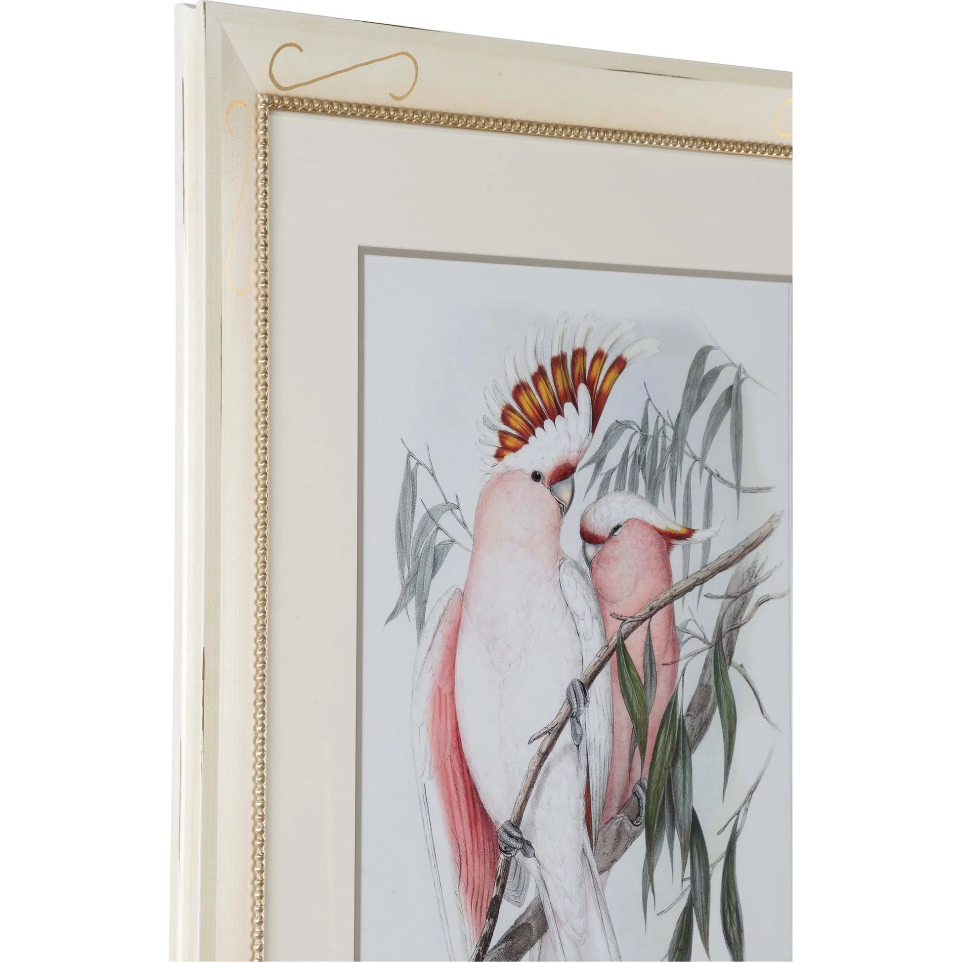 Pastel Parrots I by Chelsea House in coral and giclee print. Made from unique in a traditional style.
