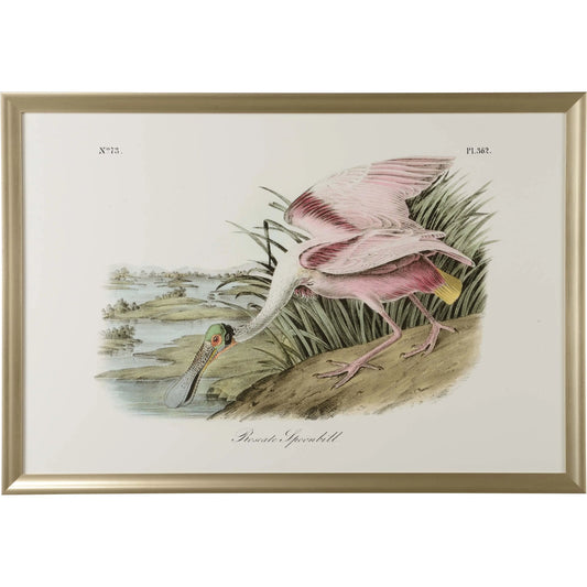 Roseate Spoonbill by Chelsea House in white, cream and giclee print. Made from unique in a traditional style.