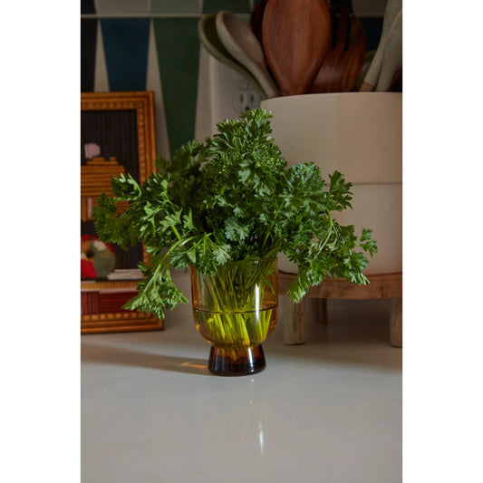 Salud Drinkware 2 (Set of 2) by Accent Decor in amber. Made from glass in a unique style.