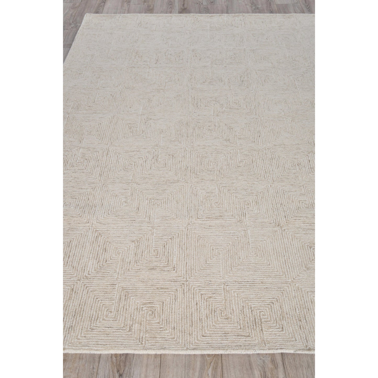 003 SI-1975087,SI-1975088,SI-1975089,SI-1975090,SI-1975091,SI-1975092 | Closeup | Caprice 4775 Rug by Exquisite Rugs in beige, ivory. Made from new zealand wool in a unique style.