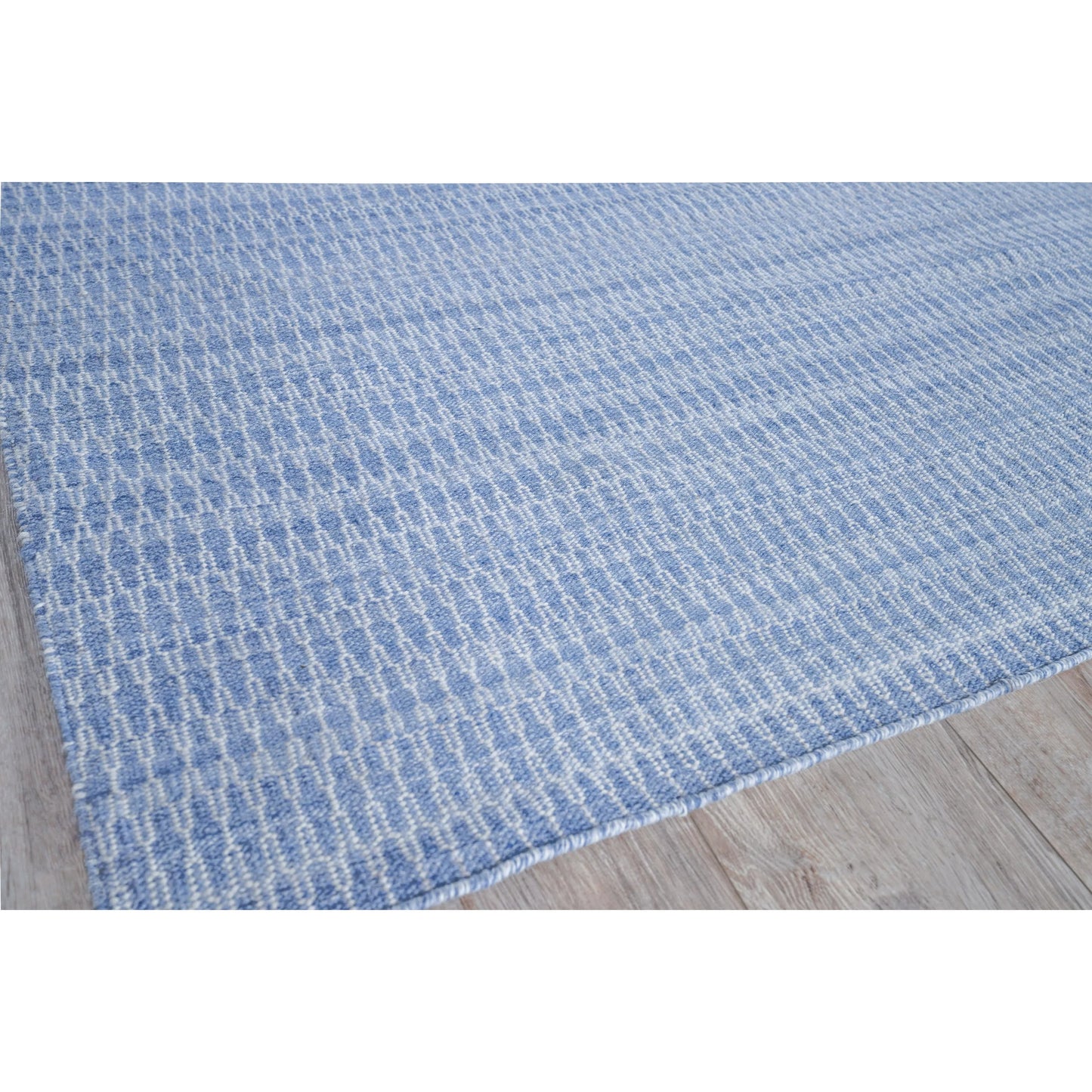 002 SI-2384290,SI-2384291 | Additional Silo | Florence 4879 Indoor/Outdoor Rug by Exquisite Rugs in light blue. Made from pet in a unique style.