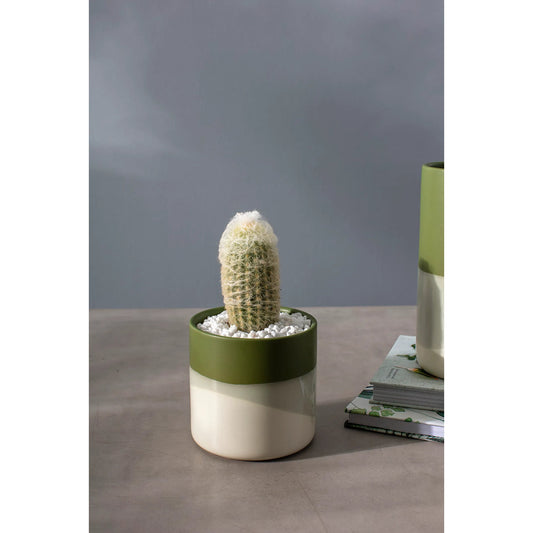 Lauris Pot 2 (Set of 2) by Accent Decor in green. Made from ceramic in a eclectic & global style.