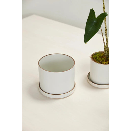 Author Pot with Saucer 2 (Set of 2) by Accent Decor in white. Made from ceramic in a unique style.