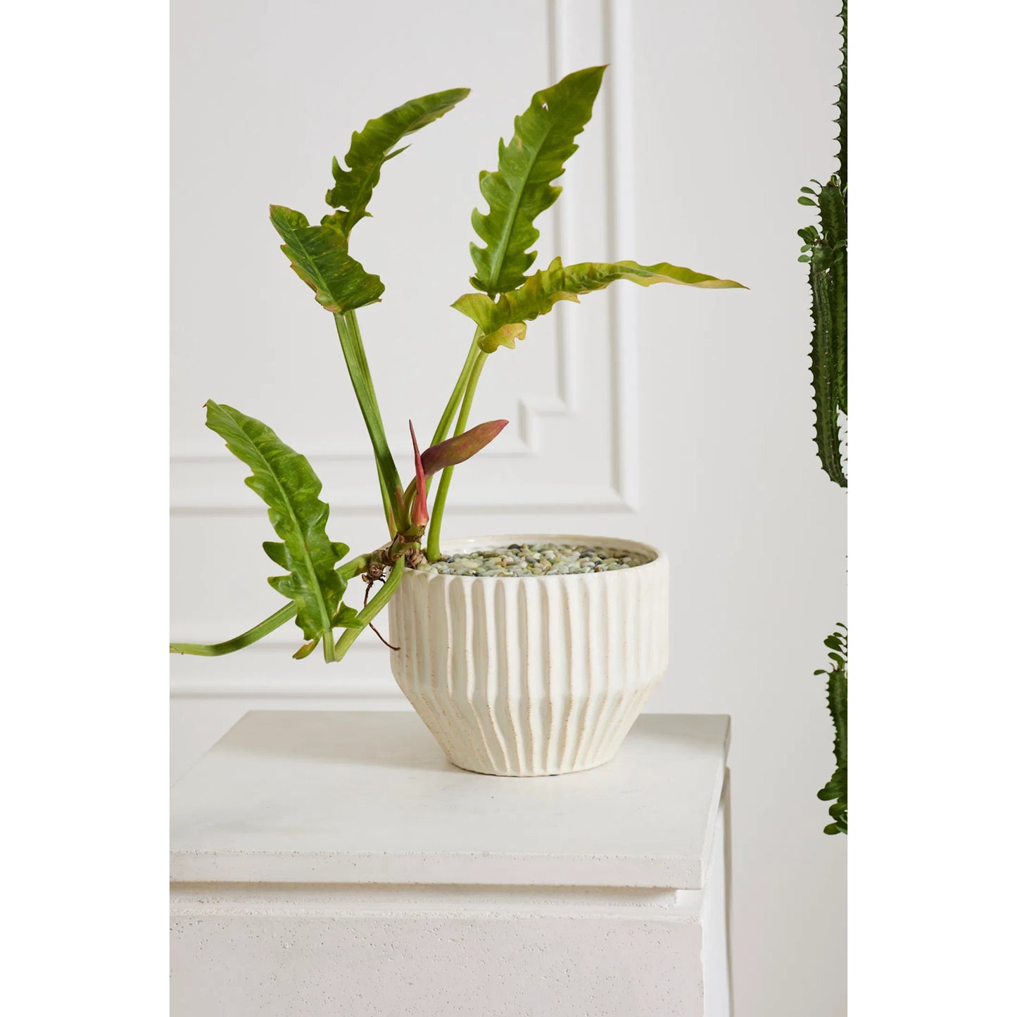 004 SI-2539454 | Lifestyle | Cameron Pot by Accent Decor in white. Made from ceramic in a unique style.