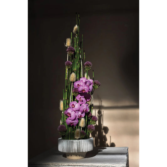 Grayton Compote by Accent Decor in white. Made from ceramic in a modern style.