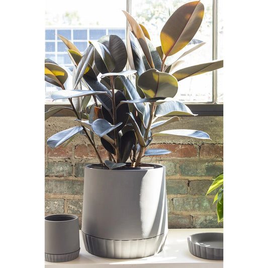 Kadin Pot with Saucer by Accent Decor in grey. Made from ceramic in a cottage & farmhouse style.