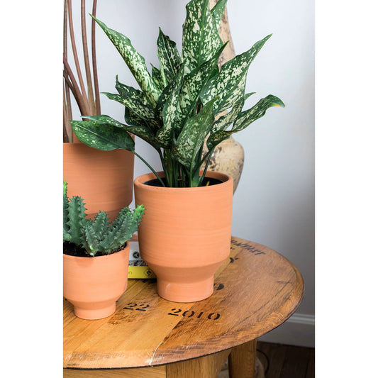 Crescendo Pot by Accent Decor in terracotta. Made from ceramic in a rustic style.