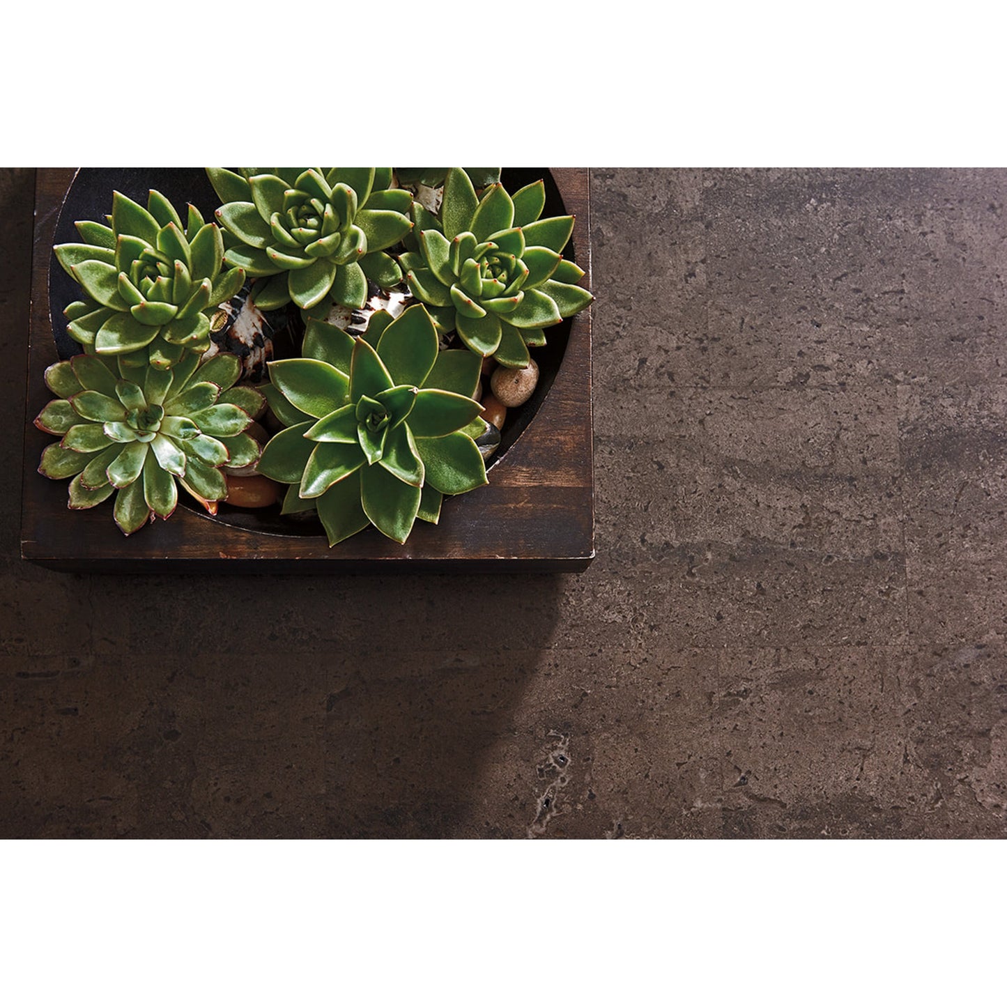 004 SR-836279 | Additional Silo | Montera Travertine Cocktail Table by Tommy Bahama Home. Made from unique in a transitional style.