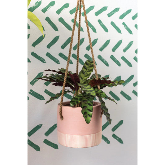 Leia Hanging Pot by Accent Decor in pink. Made from ceramic in a modern style.