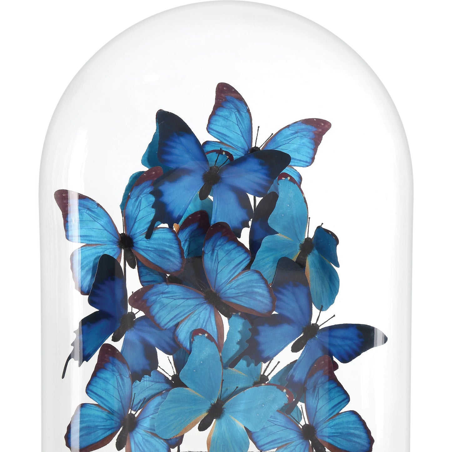 009 SI-2191824 | Additional Silo | Rue De Bac Butterflies by Currey and Company in blue, black, clear. Made from paper, engineered wood, glass in a modern style.