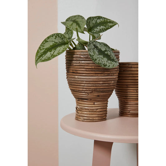 Aroon Pot by Accent Decor in natural. Made from wood in a rustic style.