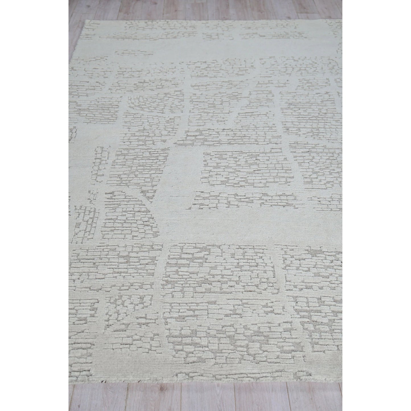 003 SI-2138154,SI-2138155,SI-2138156,SI-2138157,SI-2138158,SI-2293899 | Closeup | Calexico 6429 Rug by Exquisite Rugs in ivory, beige. Made from new zealand wool in a unique style.