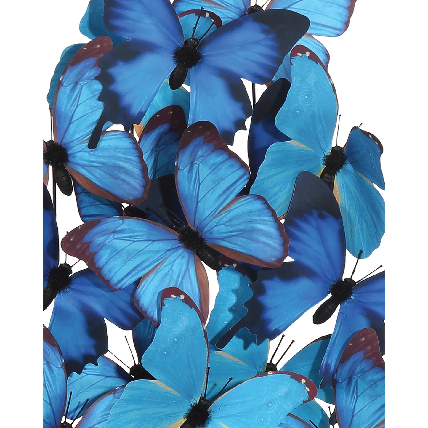 008 SI-2191824 | Additional Silo | Rue De Bac Butterflies by Currey and Company in blue, black, clear. Made from paper, engineered wood, glass in a modern style.