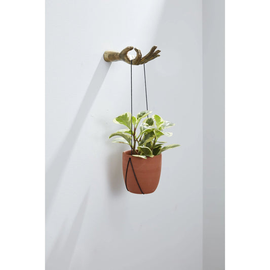 Handheld Wall Hook by Accent Decor in antique-gold. Made from metal in a modern style.