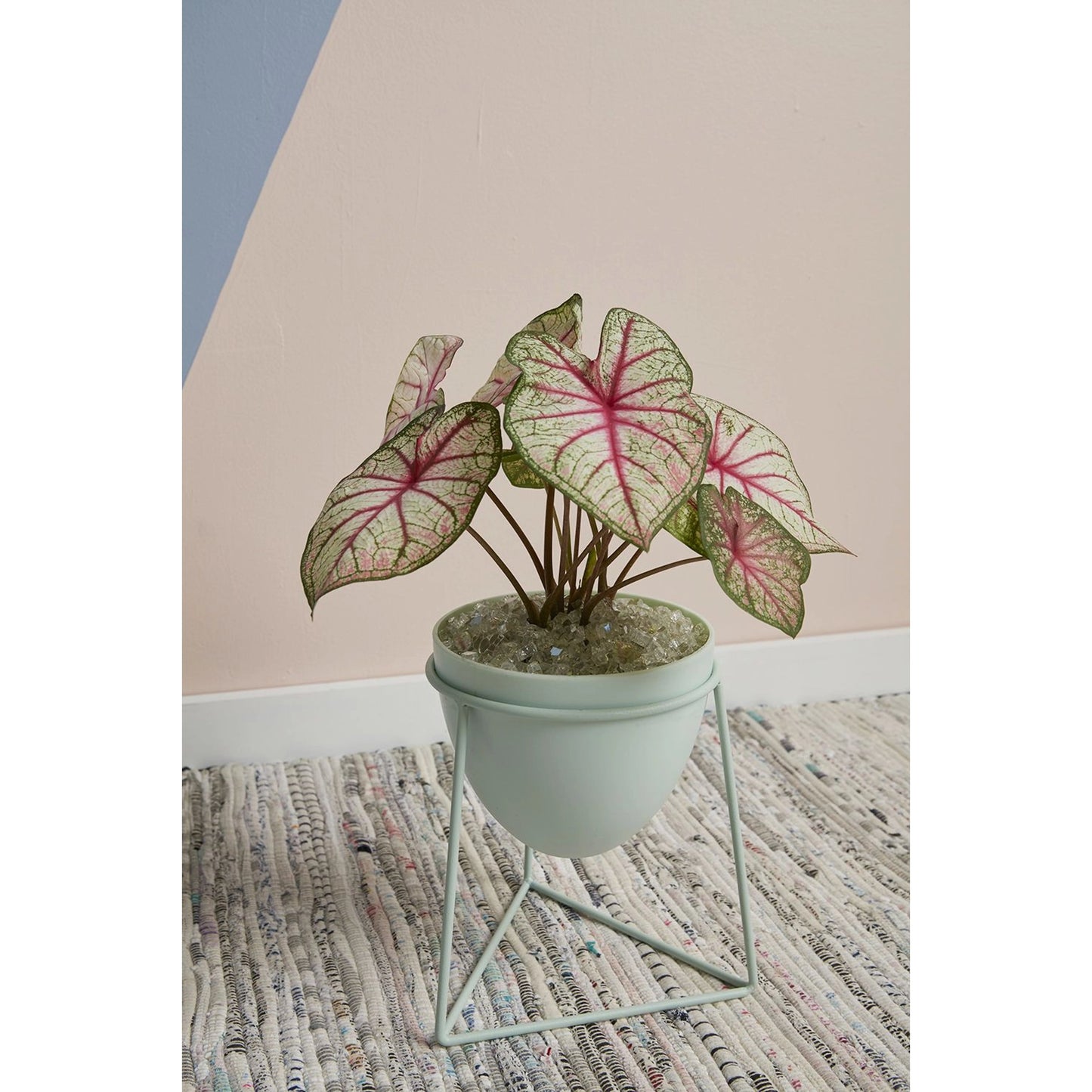 002 SI-2084568 | Additional Silo | Kelly Plant Stand by Accent Decor in green. Made from plastic in a modern style.