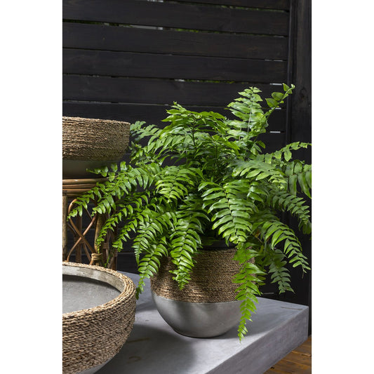 Reed Pot by Accent Decor in tan. Made from concrete in a cottage & farmhouse style.