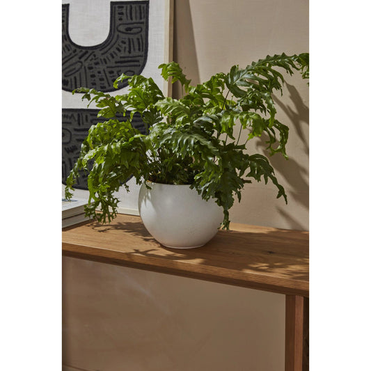 Mayu Pot by Accent Decor in white. Made from ceramic in a modern style.