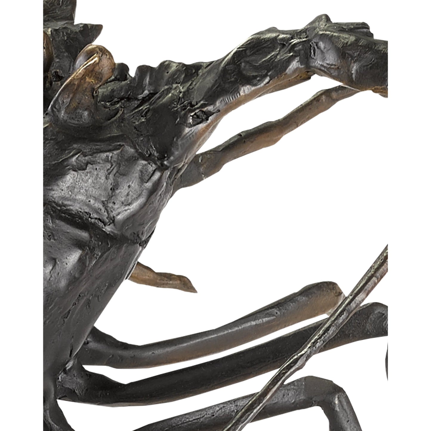 003 SR-823562 | Closeup | Edo Lobster by Currey and Company in black, bronze. Made from bronze in a coastal style.