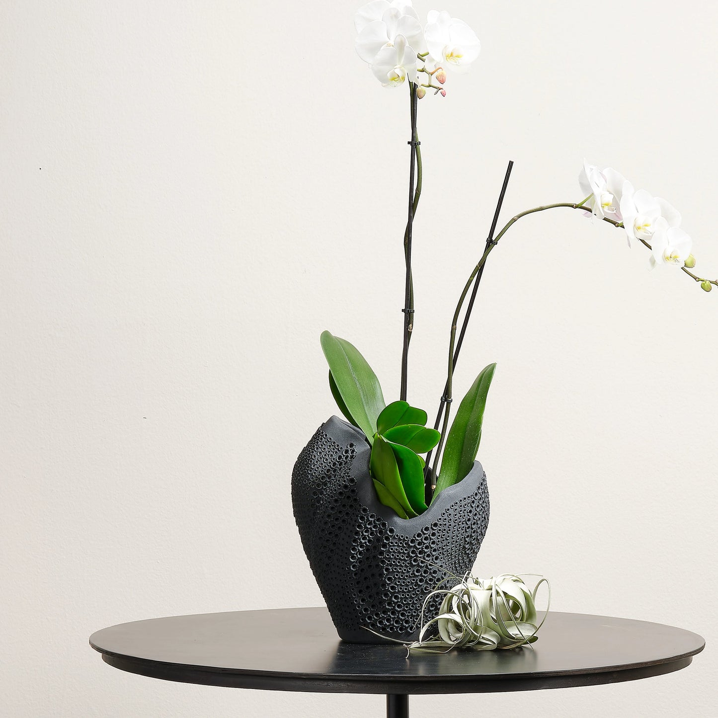 013 SI-1831429 | Lifestyle | Eclipse Vase by Jamie Young. Made from porcelain in a coastal style.