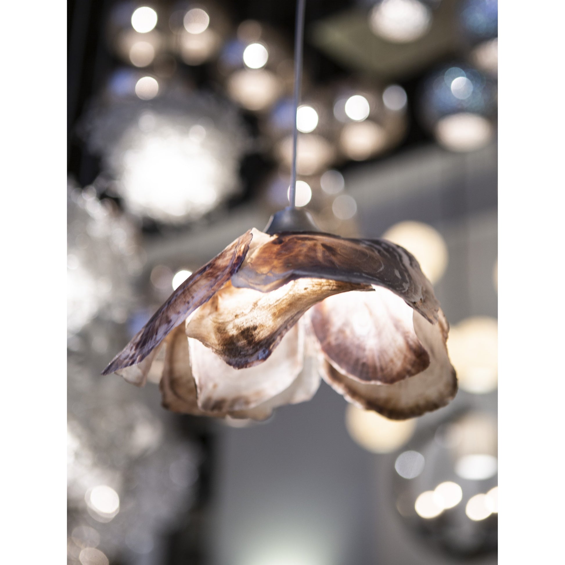 Catrice Pendant by Currey and Company in painted silver, contemporary silver leaf, natural shell. Made from capiz shell, wrought iron in a coastal style.