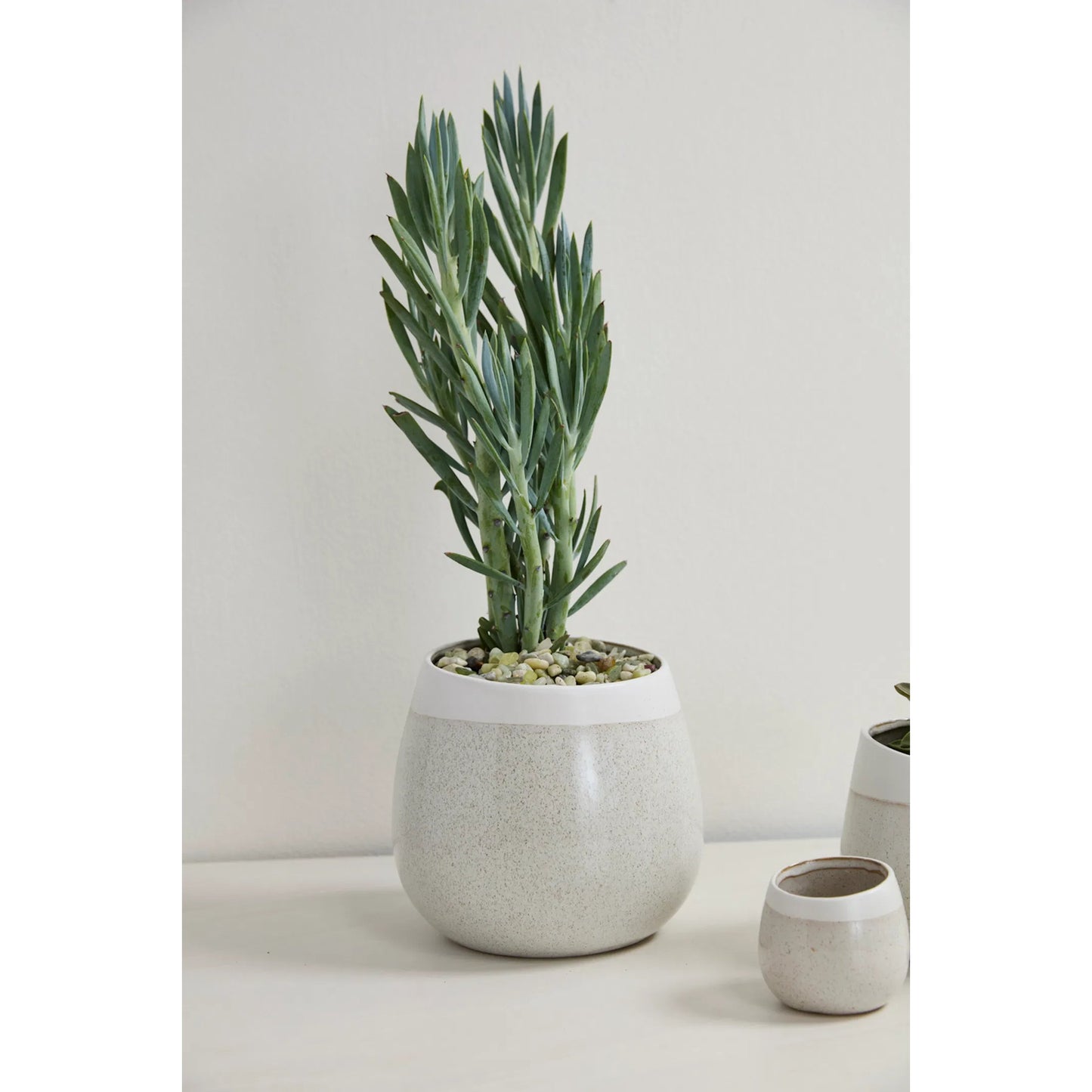 002 SI-2539481 | Lifestyle | Choice Pot by Accent Decor in off, white. Made from ceramic in a unique style.