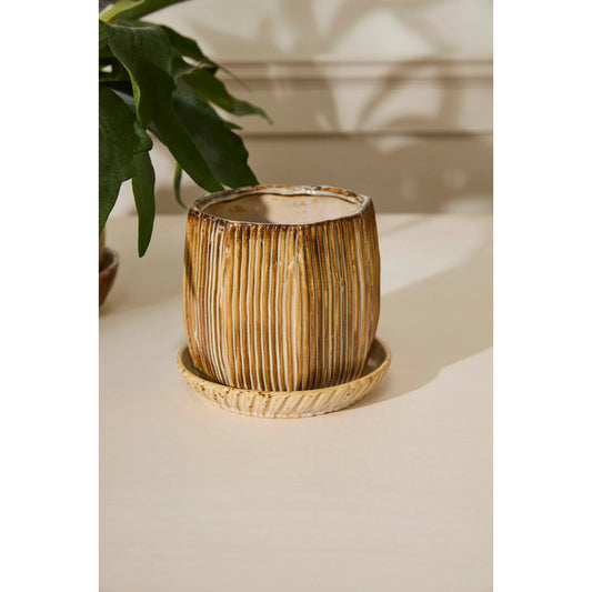 Carved Pot with Saucer by Accent Decor. Made from ceramic in a unique style.