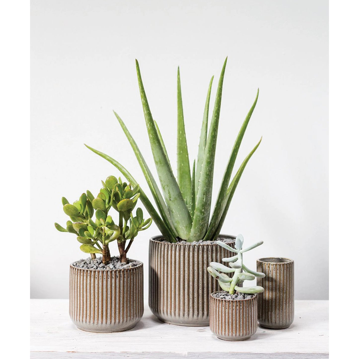 003 SI-2084183 | Lifestyle | Habitat Pot by Accent Decor in grey. Made from ceramic in a modern style.