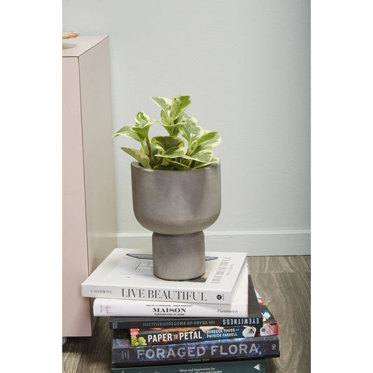 Fresno Planter by Accent Decor in grey. Made from concrete in a modern style.