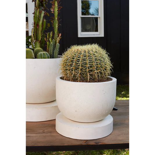 Archer Planter by Accent Decor in white. Made from concrete in a modern style.